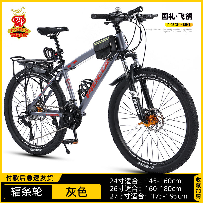PIGEON BIKE
