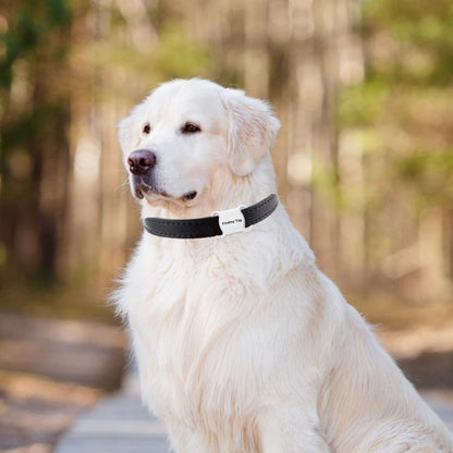 GPS tracking device for positioning, car reservation, elderly and children's anti loss dog and pet intelligent locator